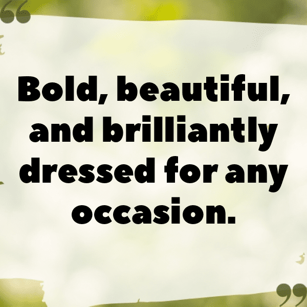 Mussel Captions Image For Instagram-h4Eu1b