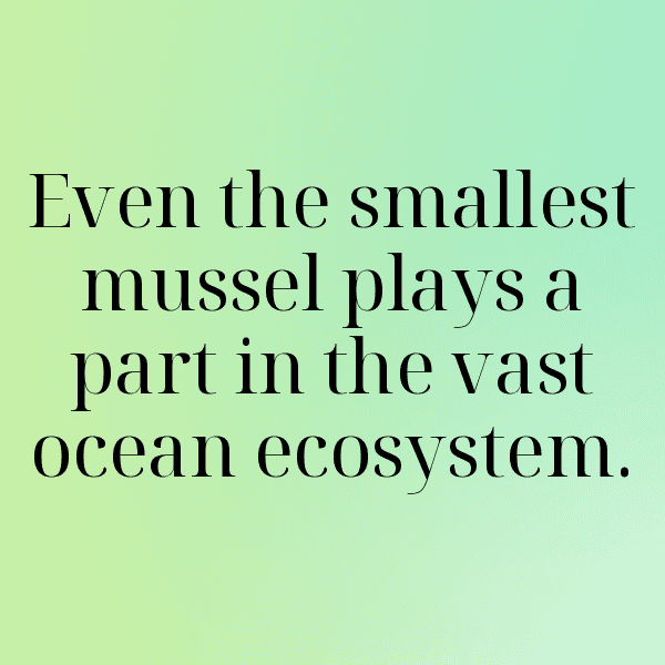 Mussel Captions Image For Instagram-tRcbiQ