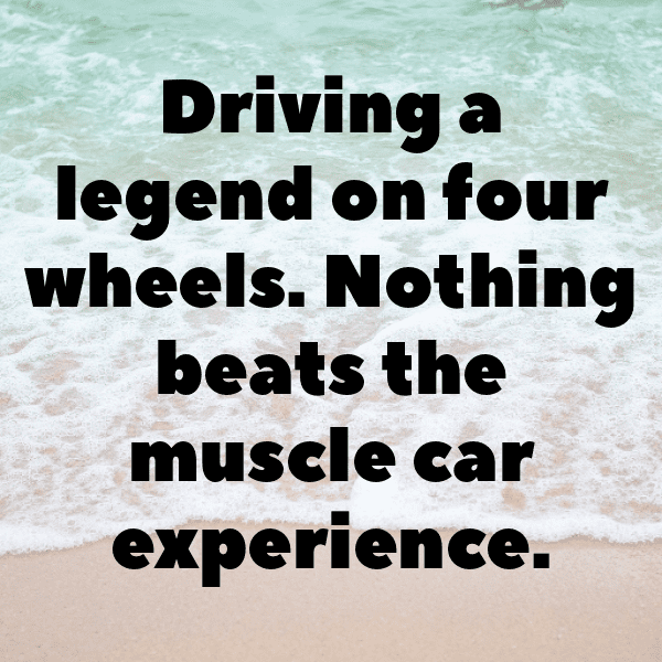 Mussel Captions Photo For Instagram-bpToFG