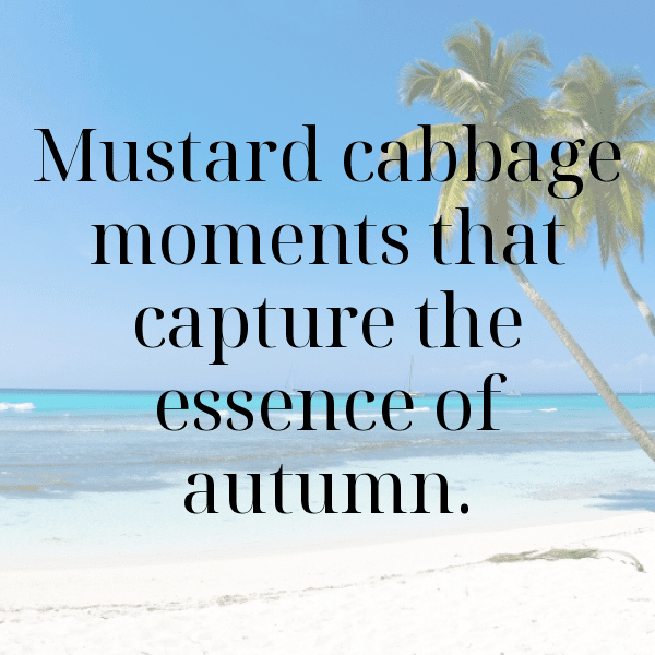 254+ Mustard Cabbage Captions For Instagram (Best, Funny & Short) 8 Mustard Cabbage Captions Photo For Instagram-4Ewyh5
