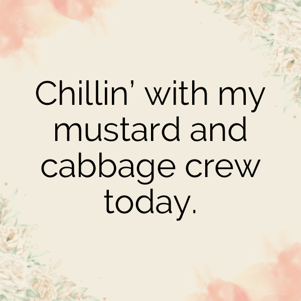 254+ Mustard Cabbage Captions For Instagram (Best, Funny & Short) 4 Mustard Cabbage Captions Photo For Instagram-EP8Rpg