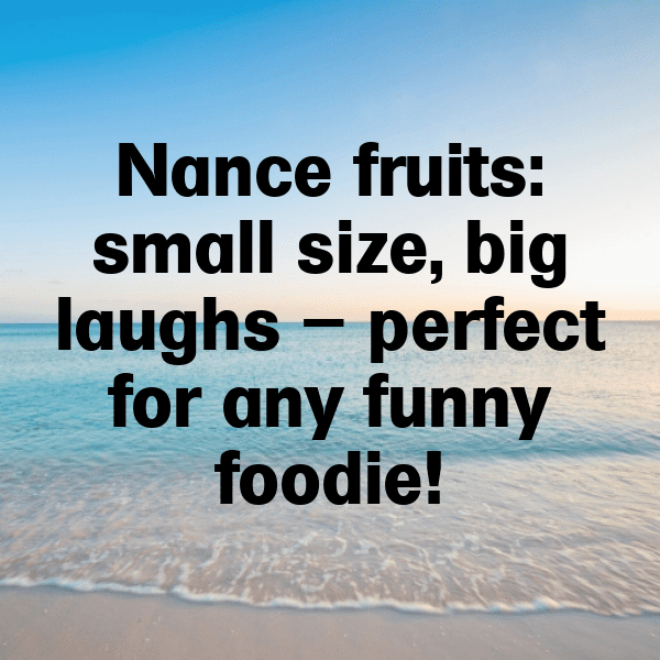 Nance Fruit Captions Image For Instagram-SrGTra