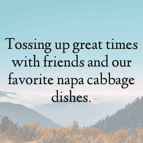 Napa Cabbage Captions Image For Instagram-Sj20qd