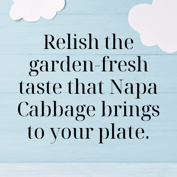 Napa Cabbage Captions Image For Instagram-VLihYA