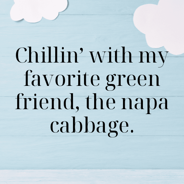 Napa Cabbage Captions Photo For Instagram-FfS4cF