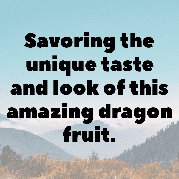 Naranjilla Captions Photo For Instagram-O1q4pU