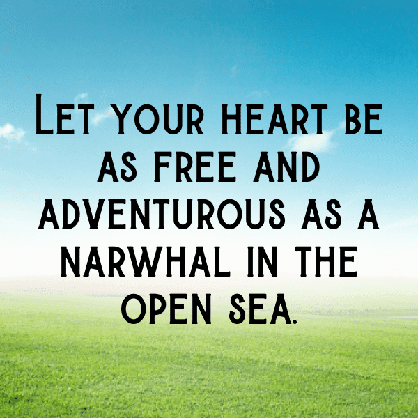 267+ Narwhal Captions For Instagram (Best, Funny & Short) 3 Narwhal Captions Image For Instagram-nfk4Kk