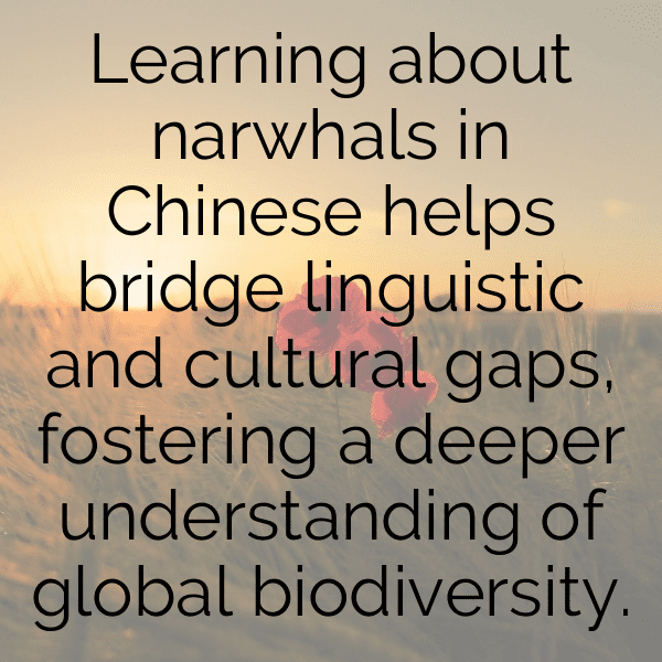 267+ Narwhal Captions For Instagram (Best, Funny & Short) 6 Narwhal Captions Photo For Instagram-bHSAgH