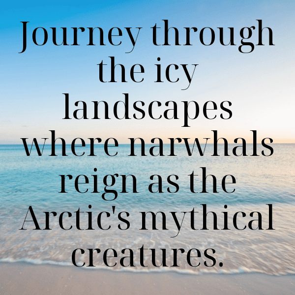 267+ Narwhal Captions For Instagram (Best, Funny & Short) 7 Narwhal Captions Photo For Instagram-YKn37t