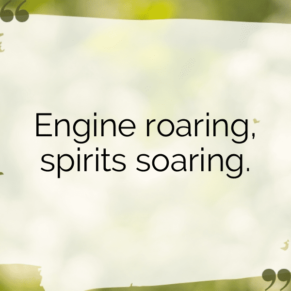 229+ NASCAR Captions for Instagram (Fresh & Trendy) 16 NASCAR Captions Photo for Instagram-MRt34q