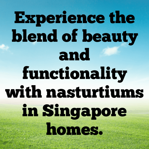Nasturtium Captions Image For Instagram-iZQ1BS