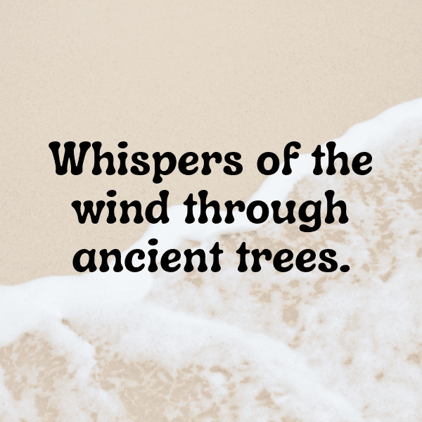 Natural Wonder Captions Photo for Instagram-cy0TFJ