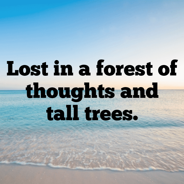 Natural Wonder Captions Photo for Instagram-GpZ32k