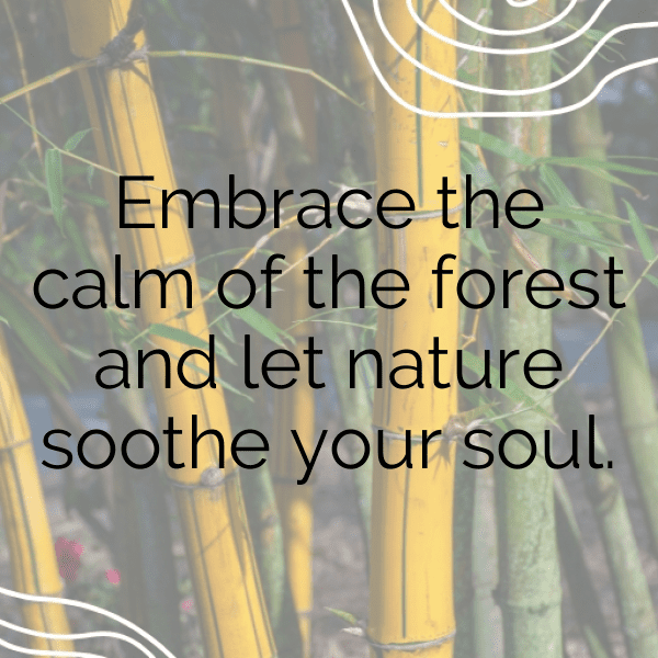 Nature Meditation Captions Image for Instagram-h2dFKL