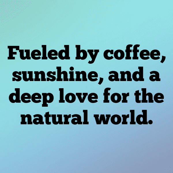 Nature Meditation Captions Photo for Instagram-1nAkWR