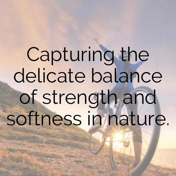 283+ Nature Photography Captions for Instagram (Short, Trending & Viral) 12 Nature Photography Captions Image for Instagram-I2c18r