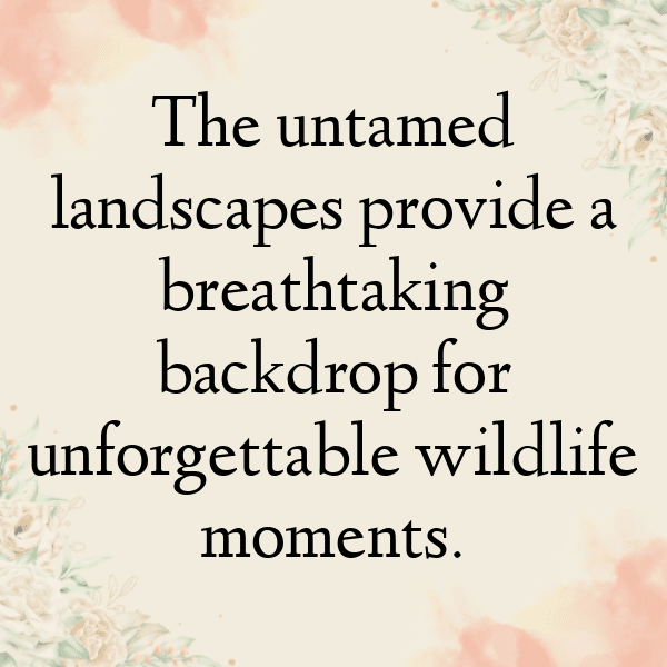 283+ Nature Photography Captions for Instagram (Short, Trending & Viral) 18 Nature Photography Captions Image for Instagram-SbEntQ