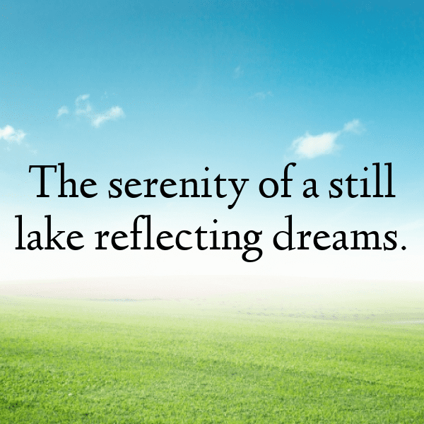 283+ Nature Photography Captions for Instagram (Short, Trending & Viral) 16 Nature Photography Captions Image for Instagram-V72d7t