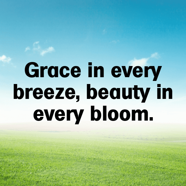 283+ Nature Photography Captions for Instagram (Short, Trending & Viral) 7 Nature Photography Captions Photo for Instagram-NX5W4R