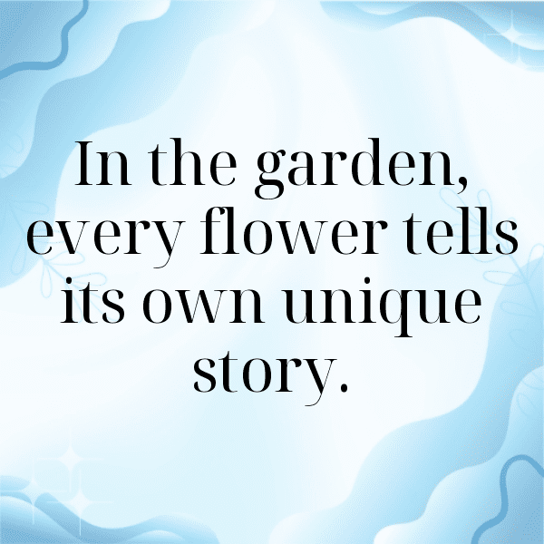 283+ Nature Photography Captions for Instagram (Short, Trending & Viral) 9 Nature Photography Captions Photo for Instagram-pDQTDi