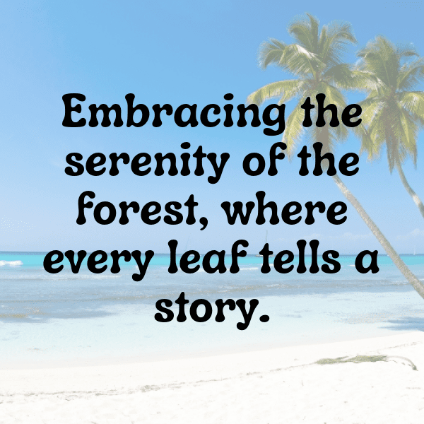 Nature Picnic Captions Image for Instagram-h904RR