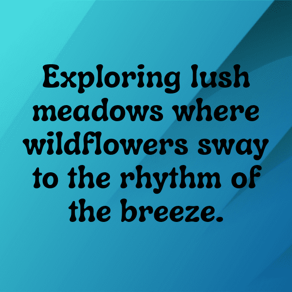 Nature Picnic Captions Photo for Instagram-WBkZBE