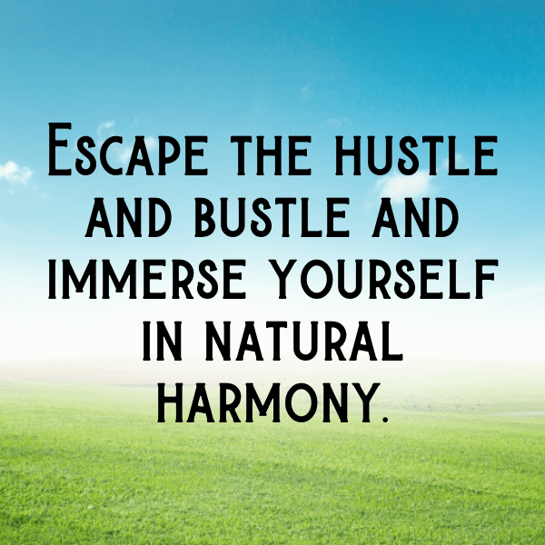 Nature Retreat Captions Image for Instagram-pGlht1