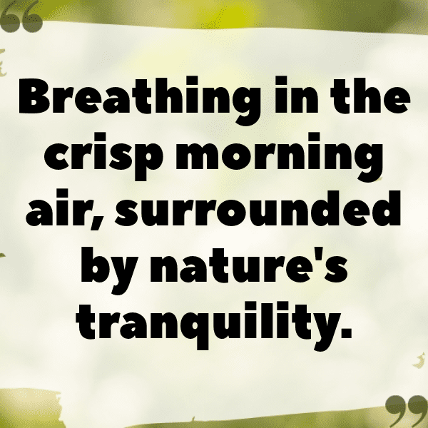 Nature Retreat Captions Photo for Instagram-n2HIIk