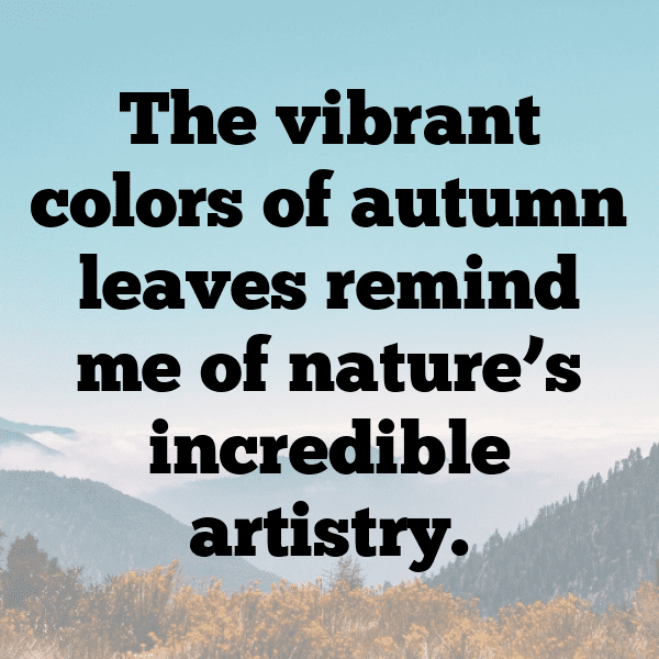 Nature Trail Captions Image for Instagram-fsLtm3