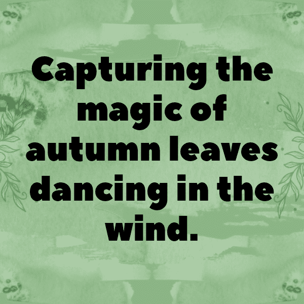 Nature Trail Captions Image for Instagram-gmGOk4