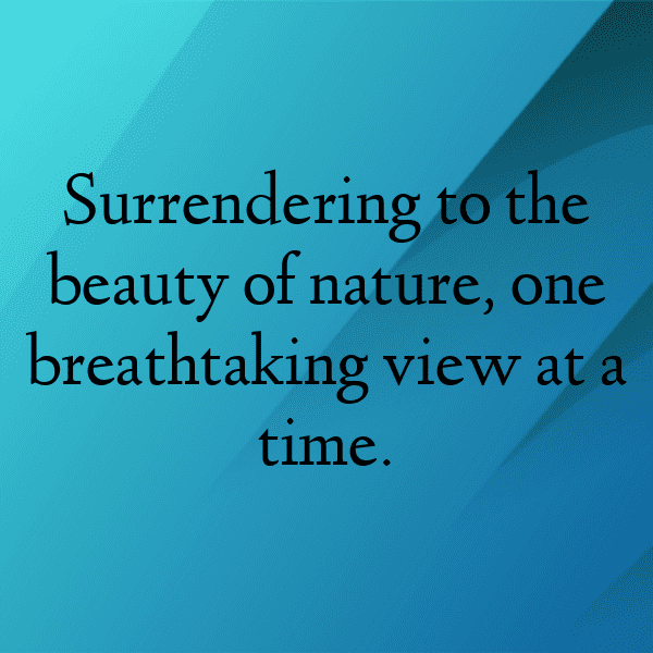 Nature Trail Captions Image for Instagram-YWVNZo