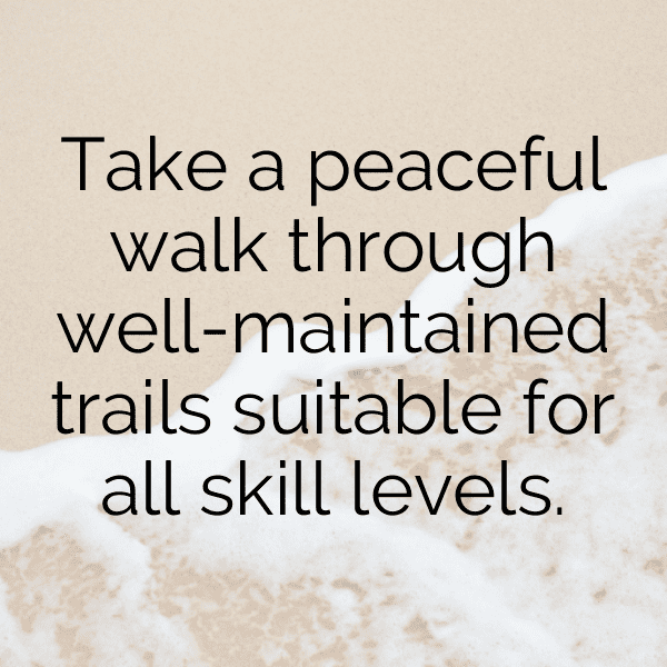 Nature Trail Captions Photo for Instagram-QtrQO2