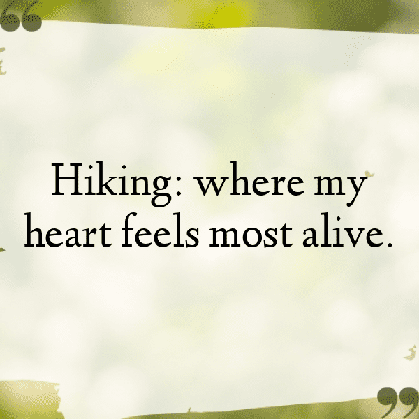 Nature Trail Captions Photo for Instagram-Wsyihm