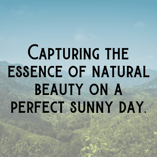 Nature's Beauty Captions Image for Instagram-mtJtP8