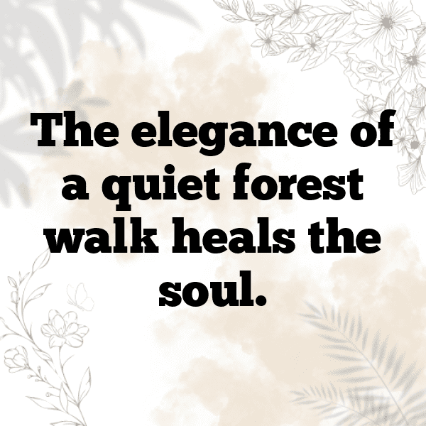 Nature's Beauty Captions Image for Instagram-QcxchO