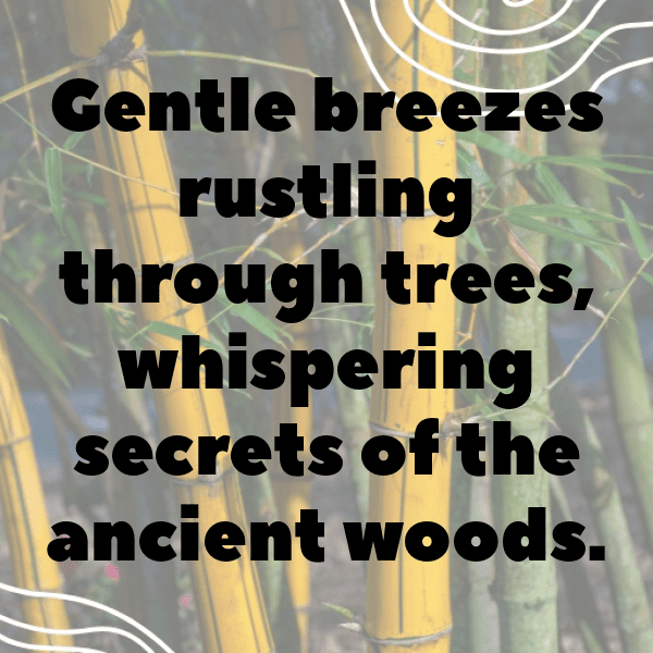 Nature's Call Captions Image for Instagram-21kQV6