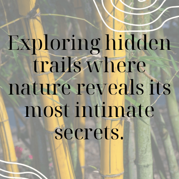 Nature's Call Captions Photo for Instagram-Az17ms