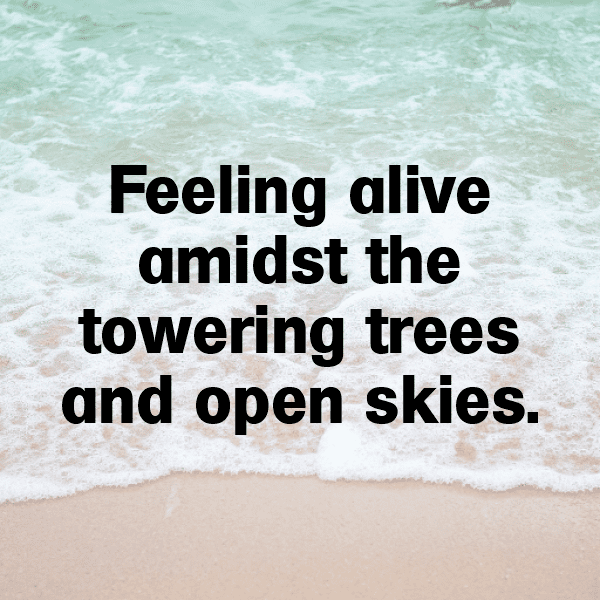 292+ Nature's Canvas Captions for Instagram (Trending, Funny & Top) 9 Nature's Canvas Captions Image for Instagram-C4WyZy