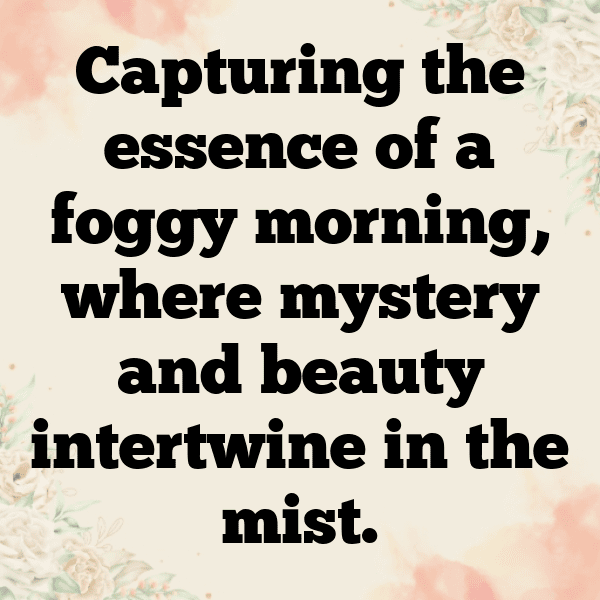 Nature's Gift Captions Image for Instagram-dzsB8K