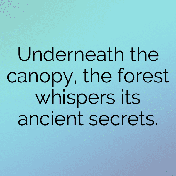 Nature's Gift Captions Image for Instagram-lMKc2z