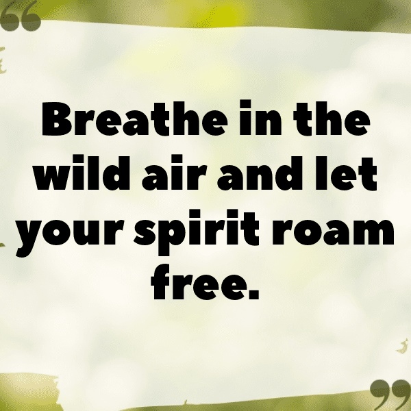 Nature's Gift Captions Photo for Instagram-HQn9hM