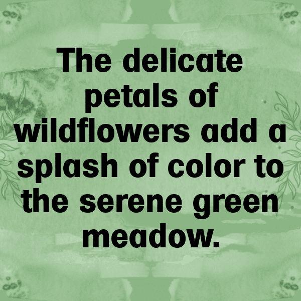 316+ Nature's Marvel Captions for Instagram In 2025 3 Nature's Marvel Captions Photo for Instagram-FvBqPi