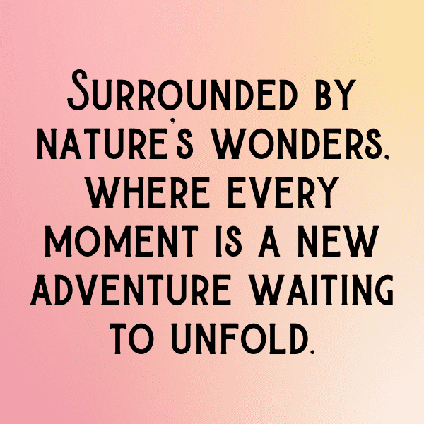 316+ Nature's Marvel Captions for Instagram In 2025 4 Nature's Marvel Captions Photo for Instagram-zMFyDJ