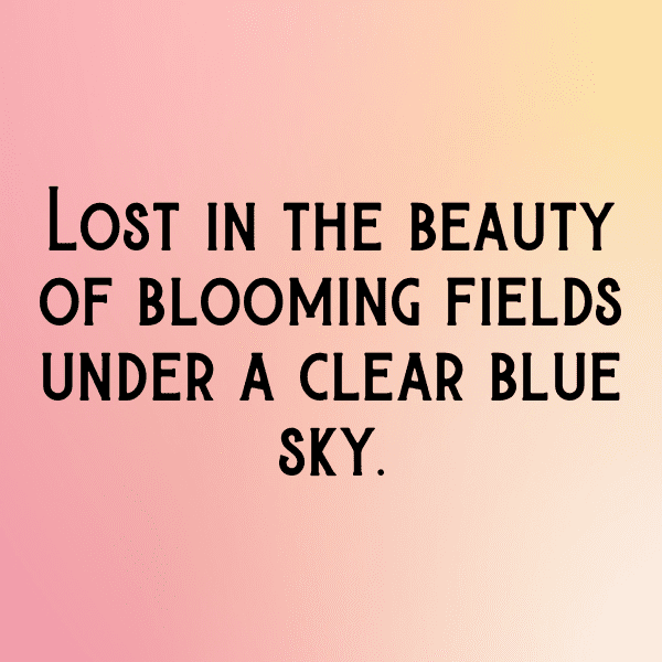 316+ Nature's Marvel Captions for Instagram In 2025 10 Nature's Marvel Captions Photo for Instagram-ZO24Pr