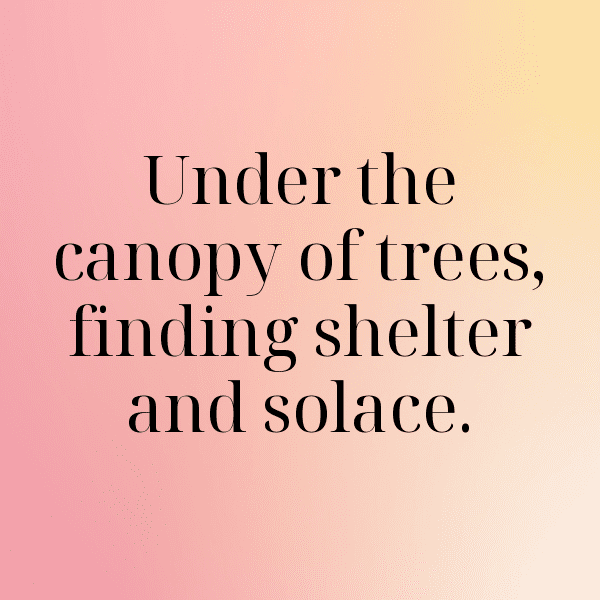 310+ Nature's Reflection Captions for Instagram (Short, Trending & Viral) 8 Nature's Reflection Captions Photo for Instagram-4MEFFH