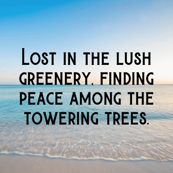 310+ Nature's Reflection Captions for Instagram (Short, Trending & Viral) 12 Nature's Reflection Captions Photo for Instagram-4ves9h