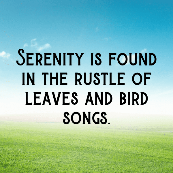 310+ Nature's Reflection Captions for Instagram (Short, Trending & Viral) 9 Nature's Reflection Captions Photo for Instagram-5c2fBM