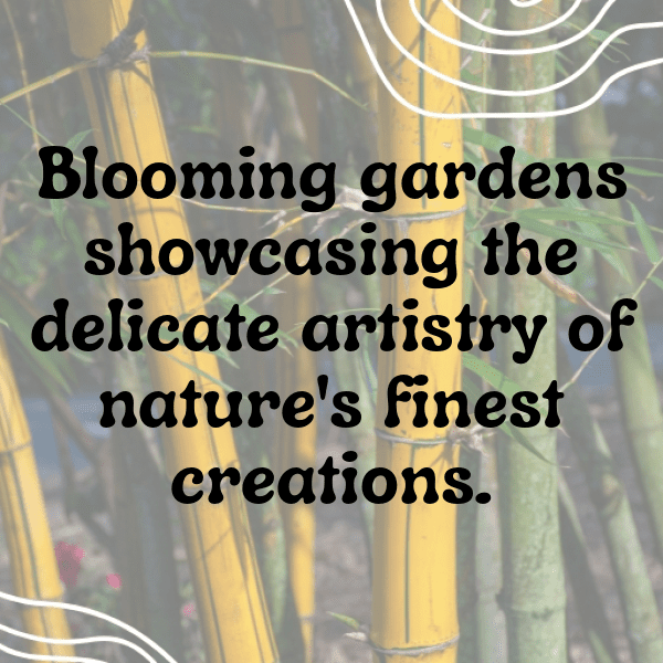 257+ Nature's Whisper Captions for Instagram (Short, Trending & Viral) 6 Nature's Whisper Captions Photo for Instagram-E0JkoE