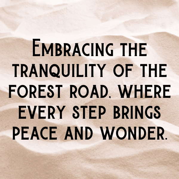 253+ Nauru Captions For Instagram (Fresh & Trendy) 9 Nauru Captions Image For Instagram-ZXvNYB