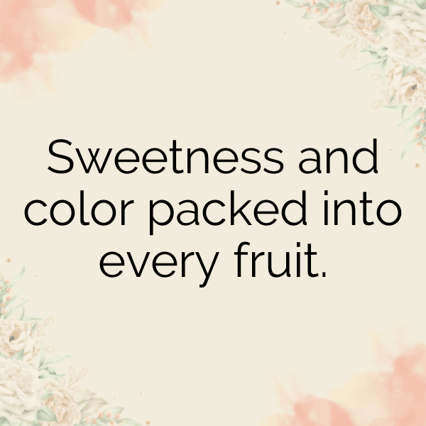 Nectacotum Captions Image For Instagram-ZyiKXO